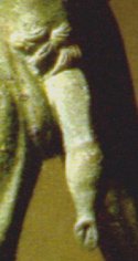 Placentarius' penis