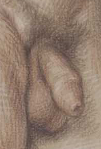 Paul Cadmus ''Standing Youth'' 's penis