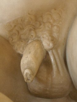 The Dying Gaul's penis