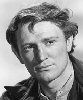 Richard Harris - early