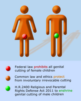 Girls' cutting prohibited, boys' enshrined by HR2400