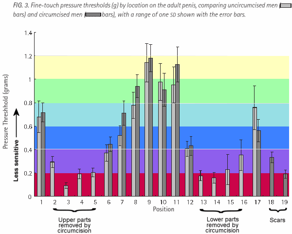 Chart showing touch-sensitivity of different places on the penis