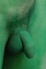 World Naked Cyclist 5's green penis