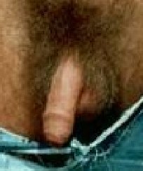 a Real Man's penis