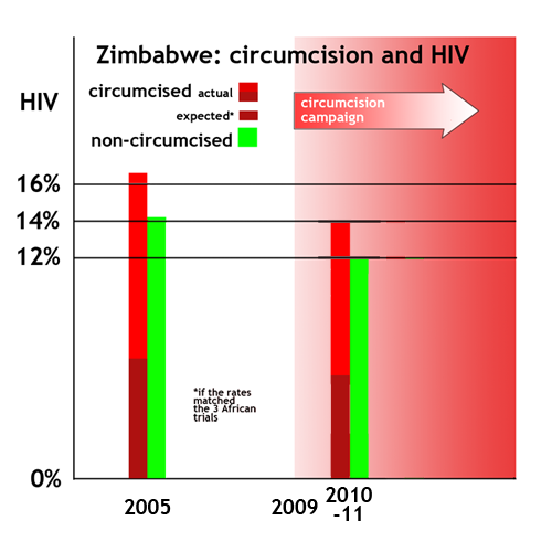 Zimbabwe: more HIV among circumcised than non-circumcised, 2005-2011